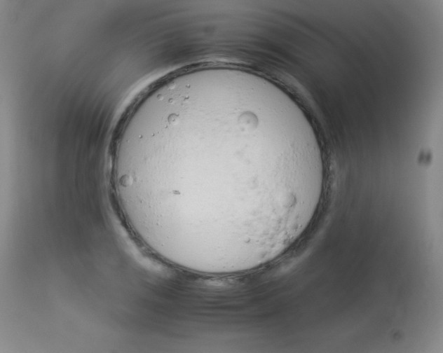 X0000114141125200910081020