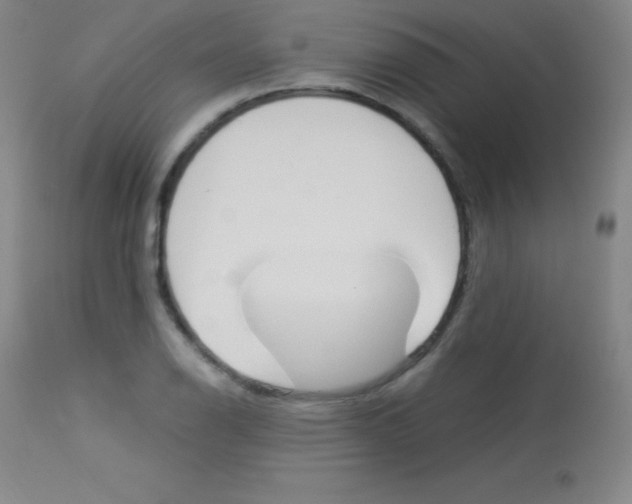 X0000114141126200910081020