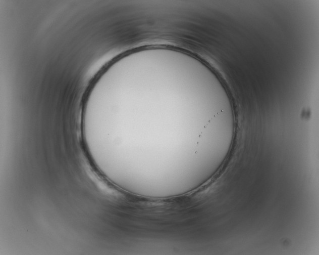 X0000114141127200910081020