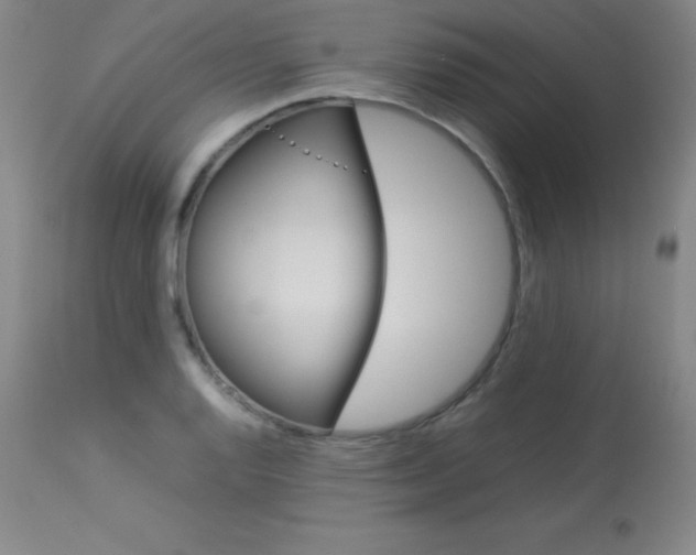 X0000114141128200910081020