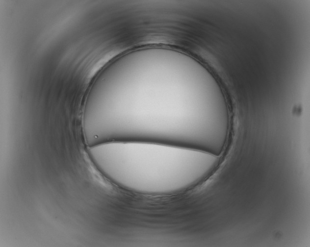 X0000114141129200910081020