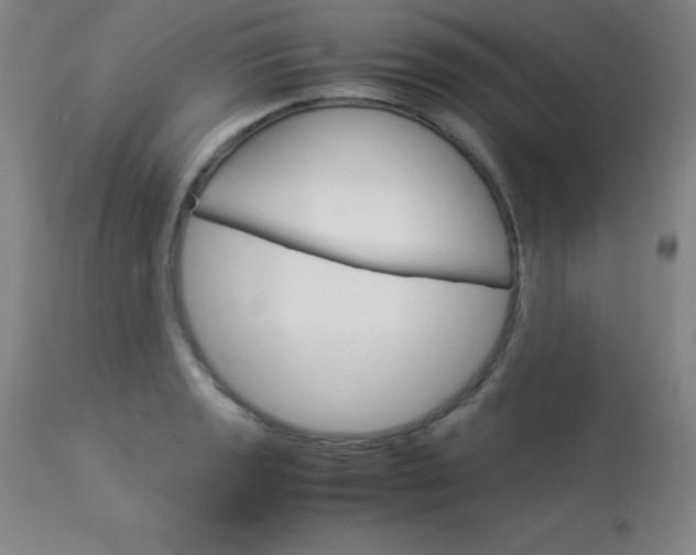 X0000114141133200910081020