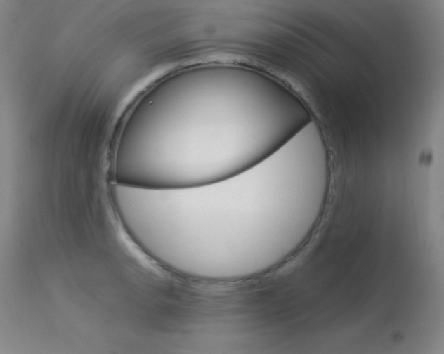 X0000114141134200910081020