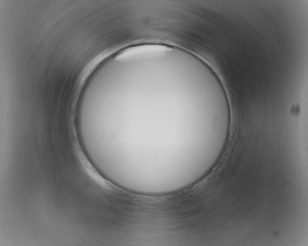 X0000114141136200910081020