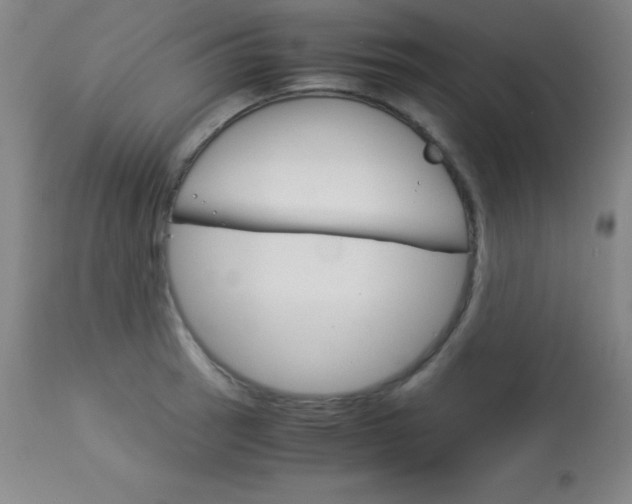 X0000114141137200910081020