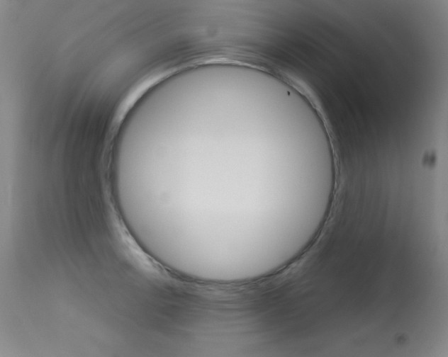 X0000114141138200910081020