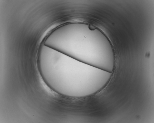X0000114141139200910081020