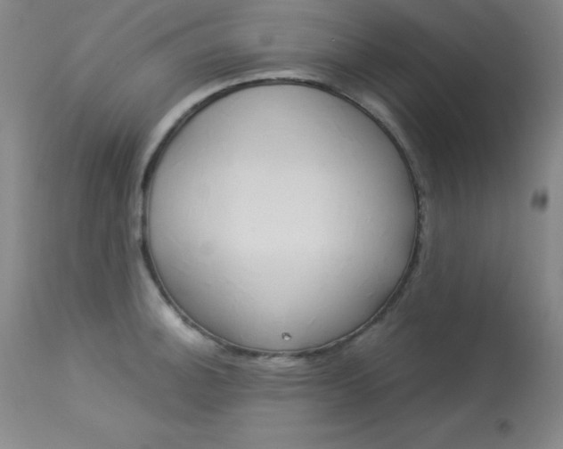 X0000114141140200910081020