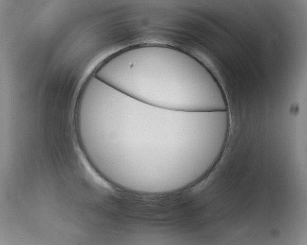 X0000114141141200910081020