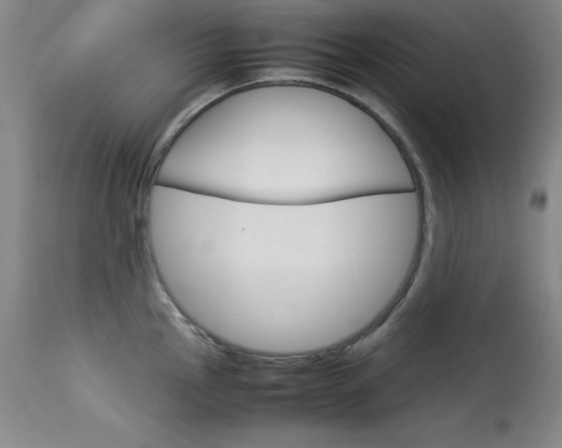 X0000114141145200910081020