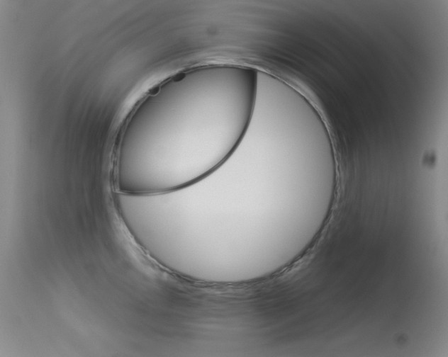 X0000114141146200910081020