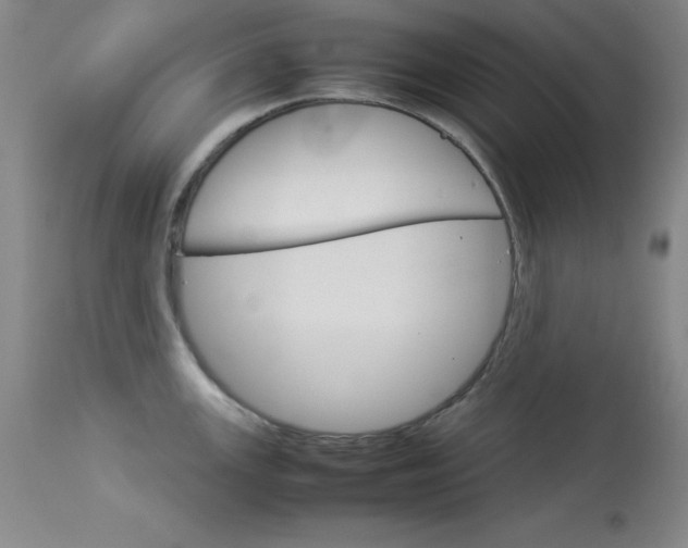 X0000114141147200910081020