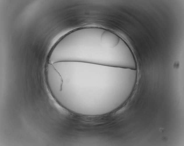 X0000114141149200910081020