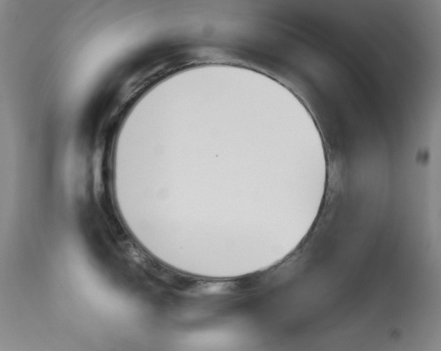 X0000114141150200910081020