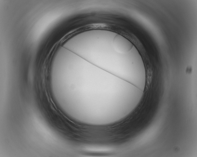 X0000114141151200910081020