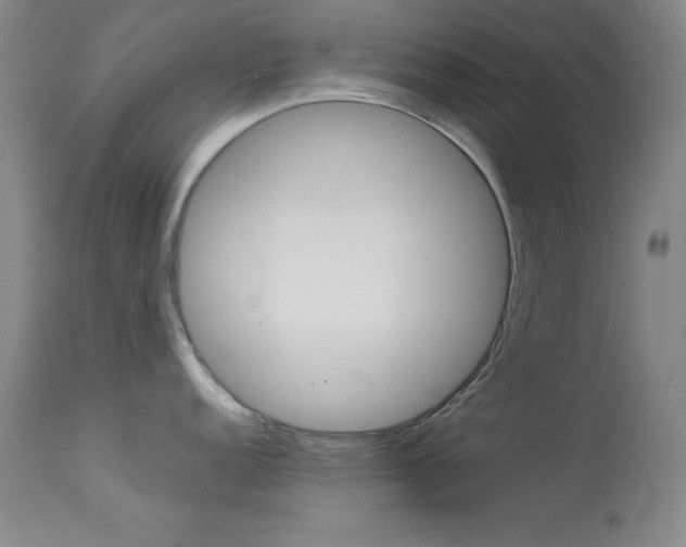 X0000114141152200910081020