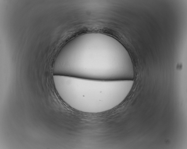 X0000114141153200910081019