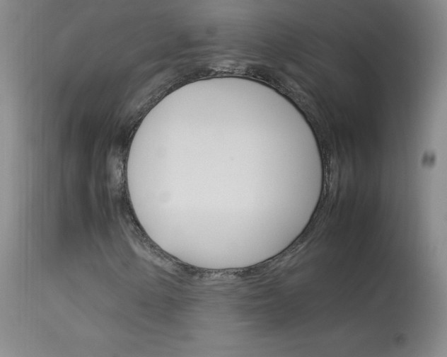 X0000114141154200910081019