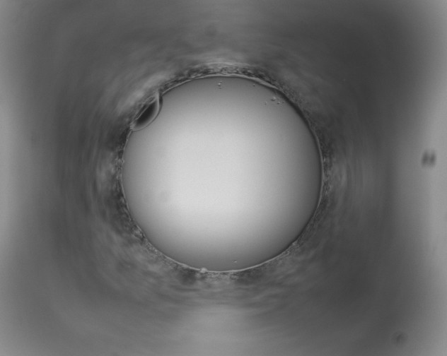 X0000114141157200910081019