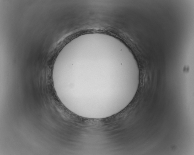 X0000114141158200910081019