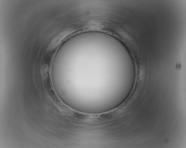 X0000114141161200910081019