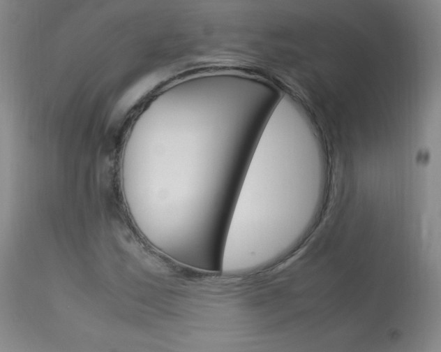 X0000114141163200910081019