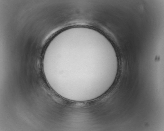 X0000114141166200910081019
