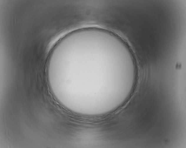 X0000114141167200910081019