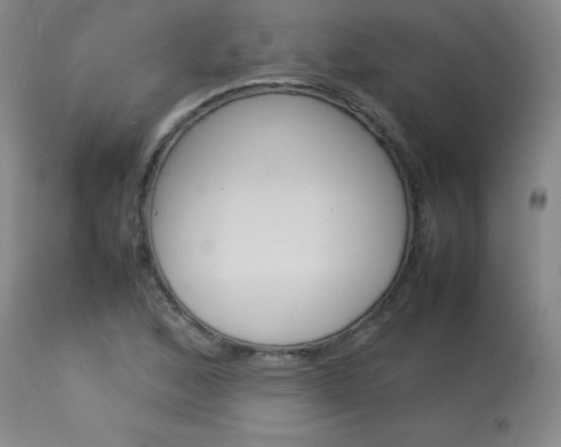X0000114141168200910081019