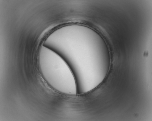 X0000114141172200910081019