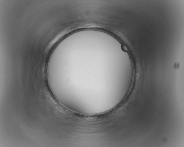 X0000114141173200910081019