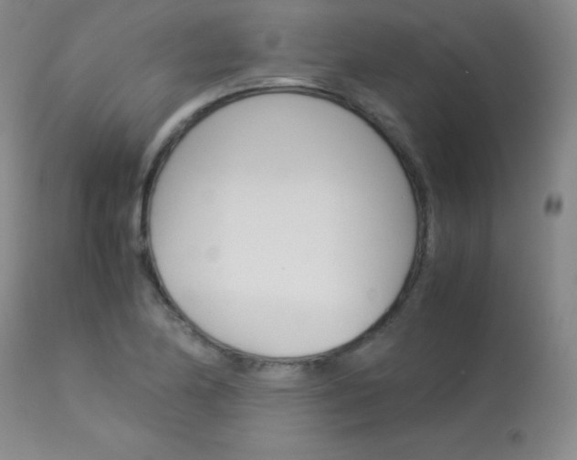 X0000114141174200910081019