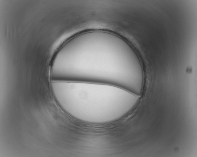 X0000114141175200910081019