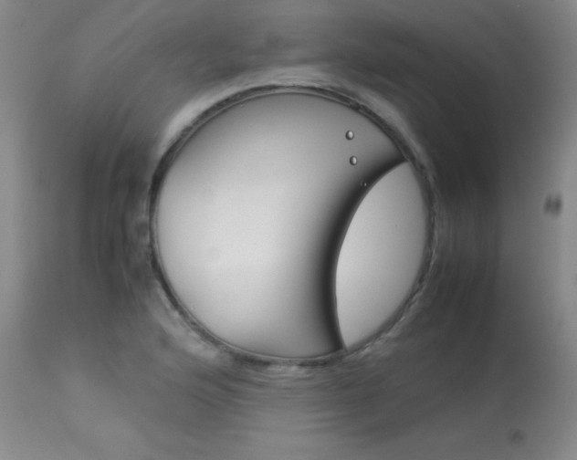 X0000114141176200910081019