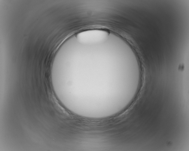 X0000114141177200910081019