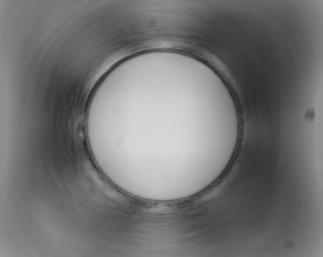 X0000114141178200910081019