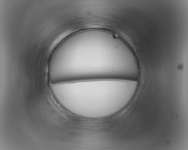X0000114141179200910081019