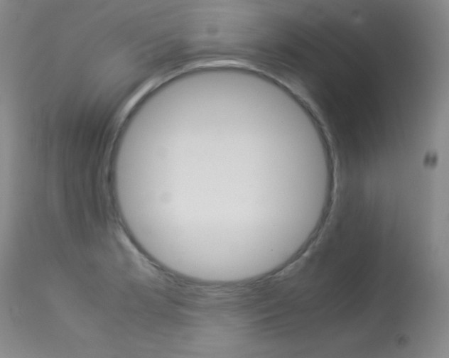 X0000114141181200910081019