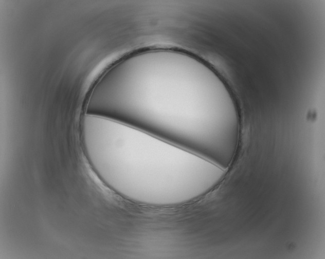 X0000114141183200910081019