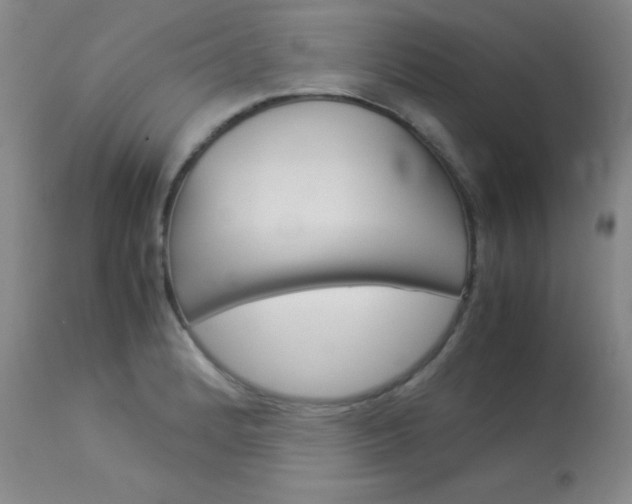 X0000114141184200910081019