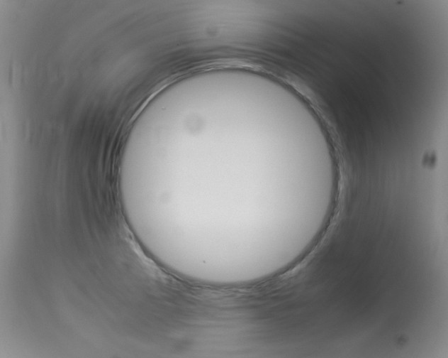 X0000114141185200910081019