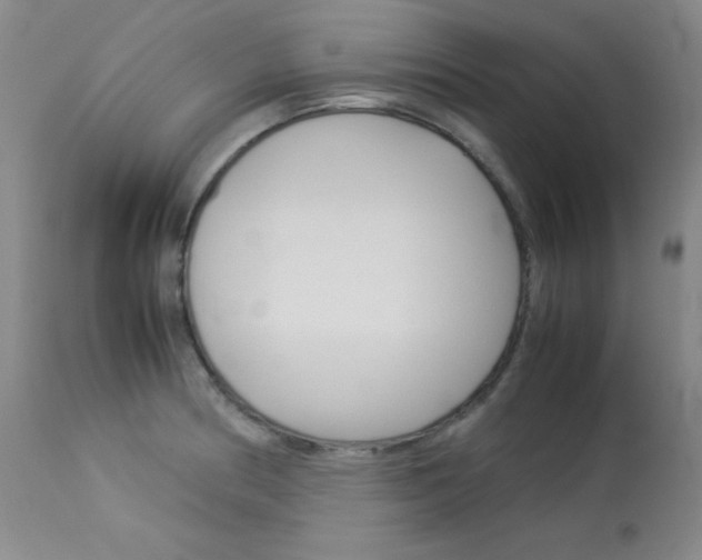 X0000114141186200910081019
