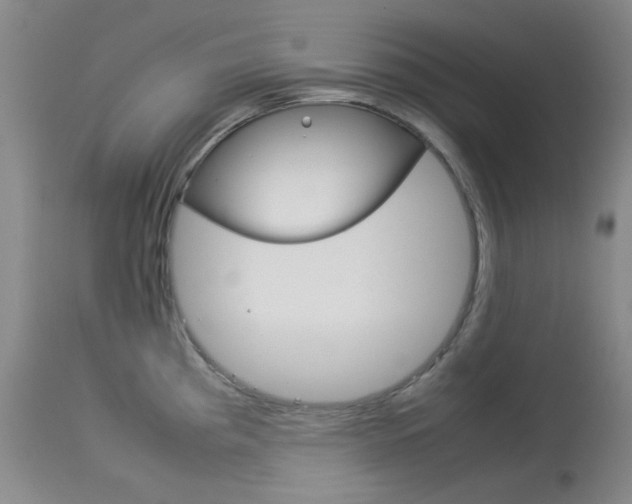 X0000114141193200910081019