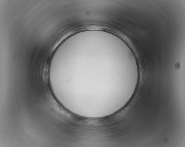 X0000114141194200910081019