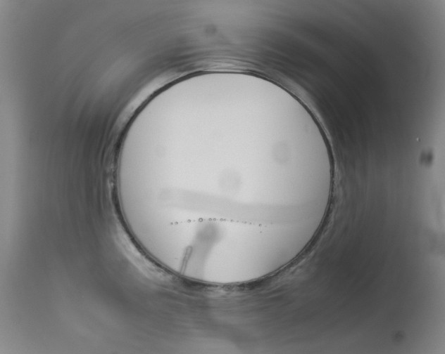 X0000114141195200910081019