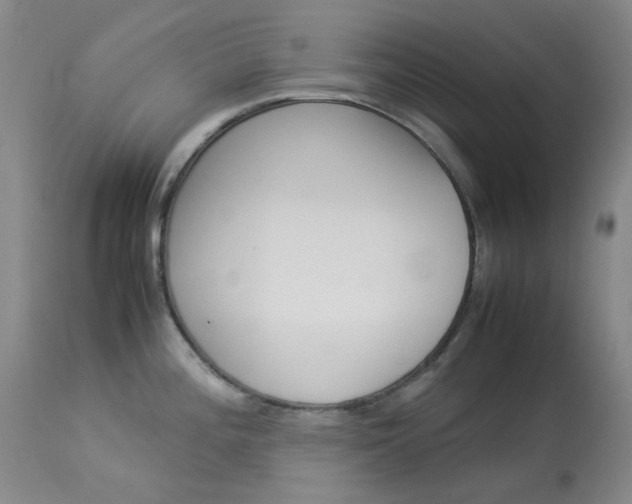 X0000114141196200910081019