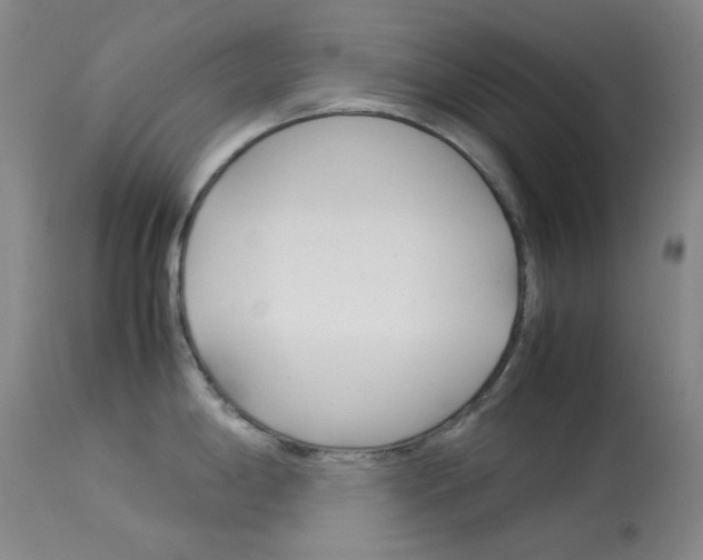 X0000114141198200910081019