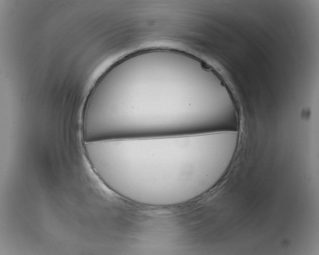 X0000114141199200910081019