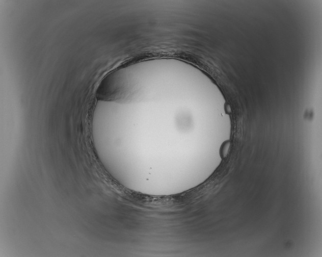 X0000114141201200910081018