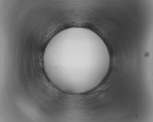 X0000114141202200910081018